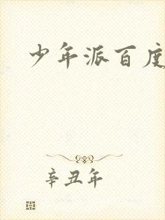 少年派百度百科