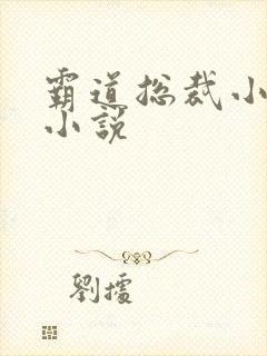 霸道总裁小娇妻小说