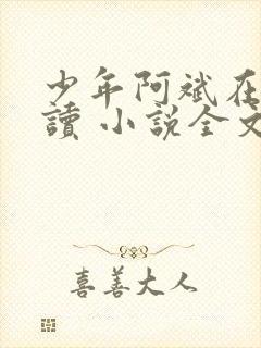 少年阿斌在线阅读 小说全文免费