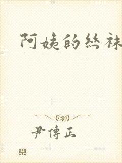 阿姨的丝袜小说