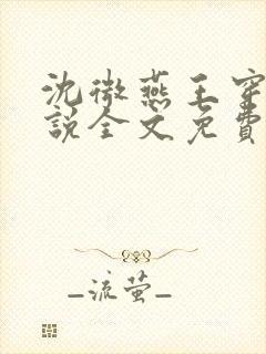 沈微燕王穿越小说全文免费阅读