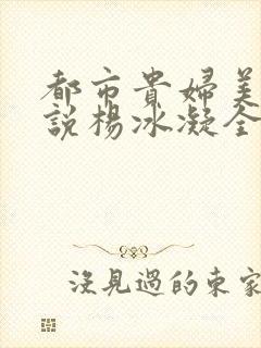 都市贵妇美腿小说杨冰凝全文阅读