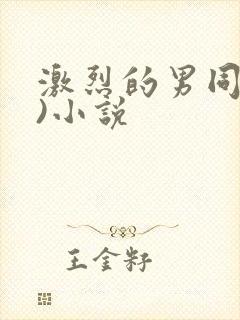 激烈的男同(h)小说