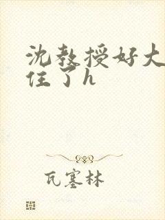 沈教授好大含不住了h