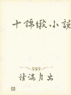 十锦缎小说
