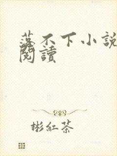 落不下小说免费阅读