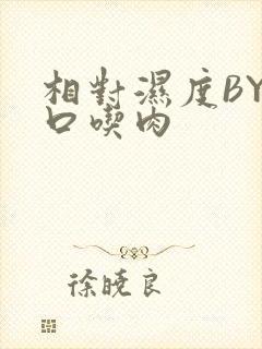 相对湿度BY大口吃肉