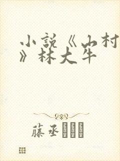 小说《山村情事》林大牛