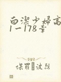 白洁少妇高义第1一178章
