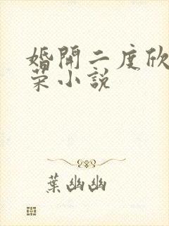 婚开二度欣欣向荣小说