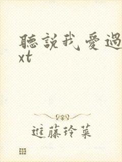 听说我爱过你txt