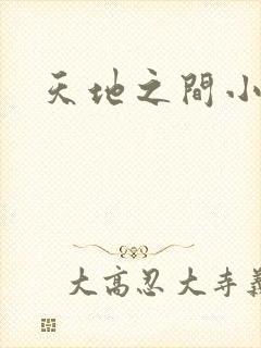 天地之间小说