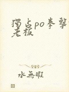 独占po拳击馆老板