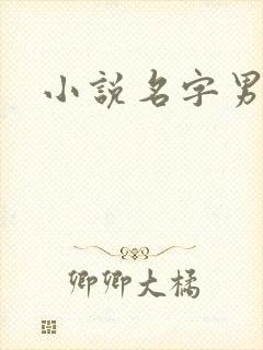 小说名字男生