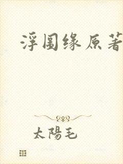 浮图缘原著小说