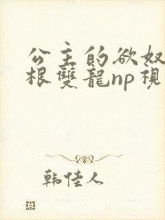 公主的欲奴h四根双龙np视频