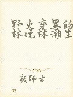 野火变异的父爱林晚林潮生