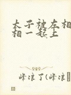 太子被左相和右相一起上