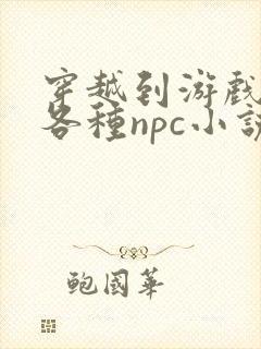 穿越到游戏里和各种npc小说