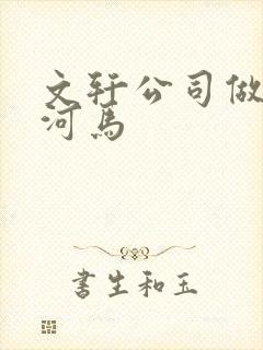 文轩公司做扩张河马