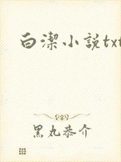 白洁小说txt