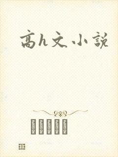 高h文小说