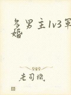 多男主1v3军婚