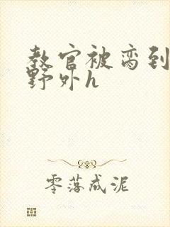 教官被脔到高潮野外h