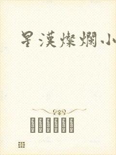 星汉灿烂小说
