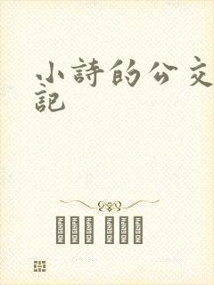 小诗的公交车日记