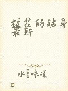 校花的贴身高手最新