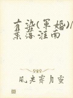 有染(军婚)/叶落淮南