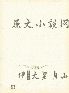 原文小说网