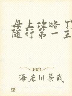 母上攻略 竹影随行第一主板