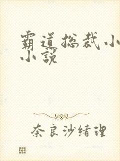 霸道总裁小娇妻小说