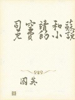 司空靖和苏月汐免费的小说笔趣阁