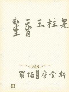 擎天玉柱是什么生肖