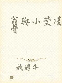 翁与小莹凌晨欢爱