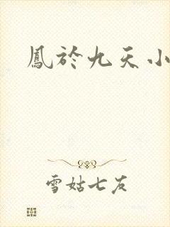 凤于九天小说