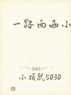一路向西小说