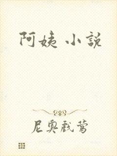 阿姨 小说