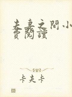 夫妻之间小说免费阅读