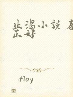 止渴小说 春光正好