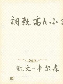 调教高h小说