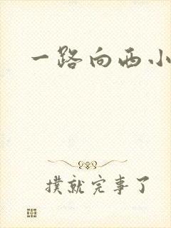 一路向西小说