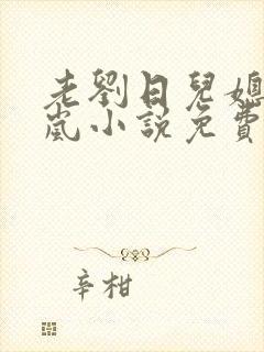 老刘日儿媳妇张岚小说免费阅读