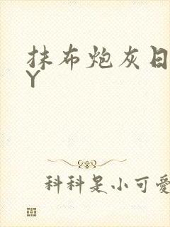 抹布炮灰日记BY