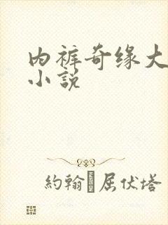 内裤奇缘大团结小说