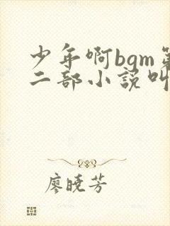 少年啊bgm第二部小说叫什么