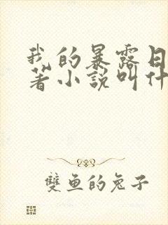 我的暴露日记原著小说叫什么